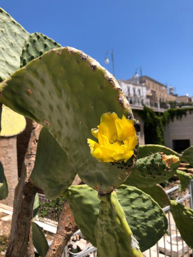 Lamanna Summer House Polignano a Mare Eksteriør billede